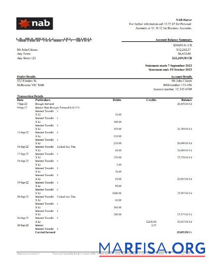 Blank Australia NAB bank statement excel download for verification